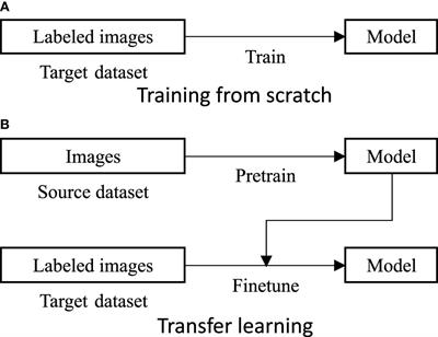 Transfer learning for versatile plant disease recognition with limited data